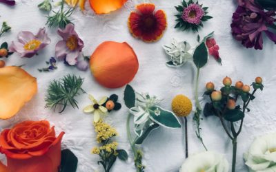 Konwencjonalne kosmetyki a kosmetyki naturalne i organiczne